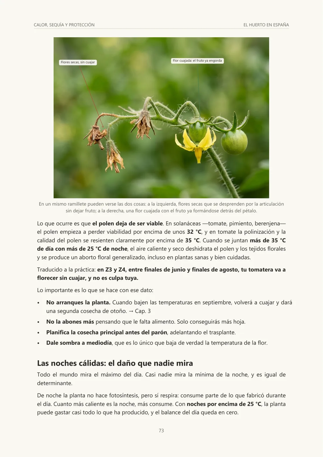 Página del capítulo 11 sobre el aborto floral por calor